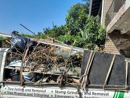 Best Estate Cleanout  in Renova, MS